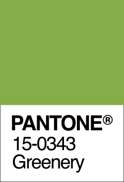 Pantone Colour Greenery